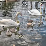 Family Nyaraló Gárdony