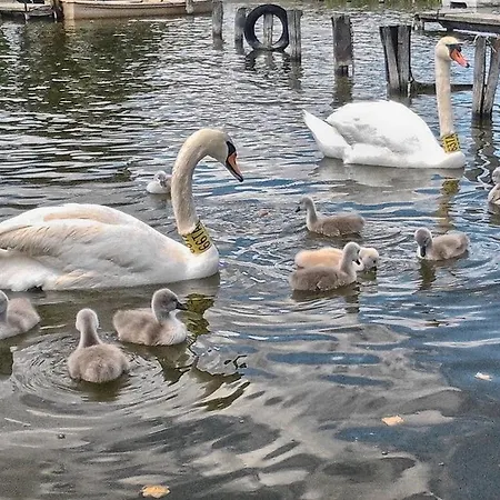Family بيت للعطل Gárdony