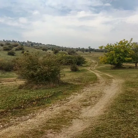 بيت للعطل Family *