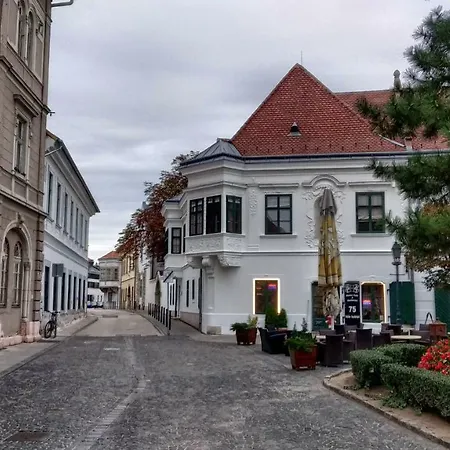 Family * 加尔多尼