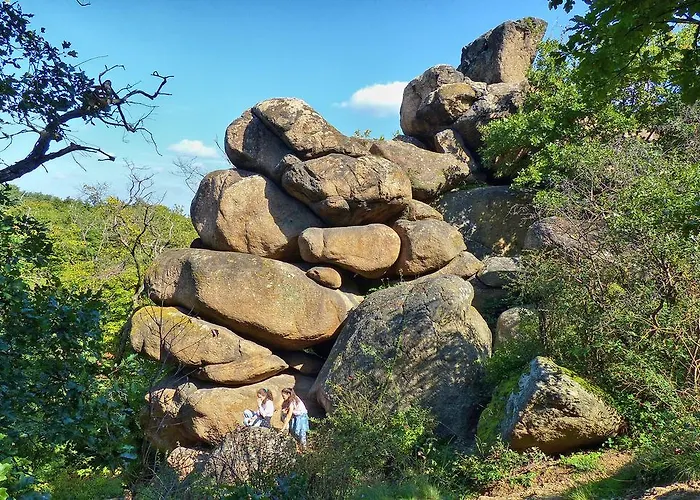 Family 別荘 Gárdony