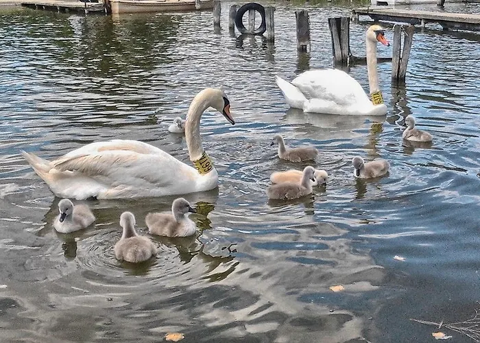 Family 度假居 加尔多尼